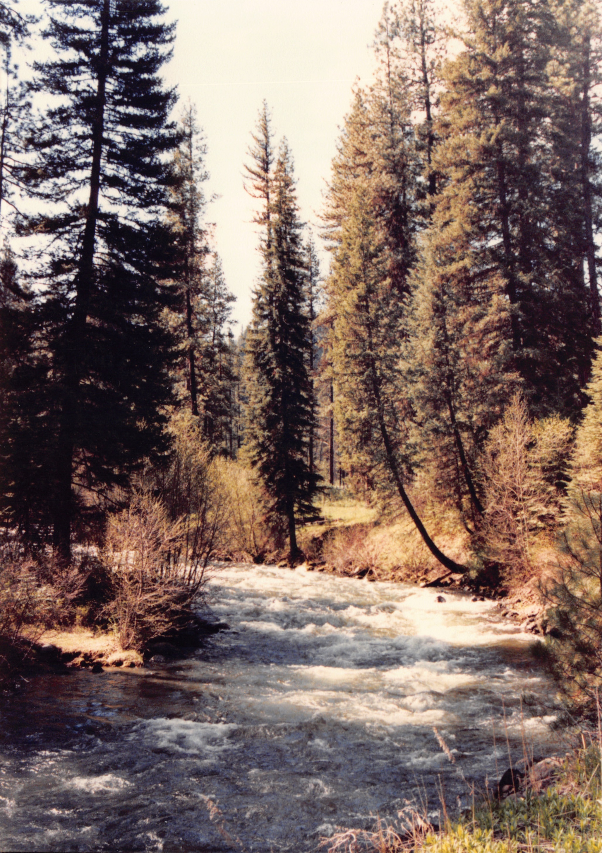1985_Part 2_01_045.jpg